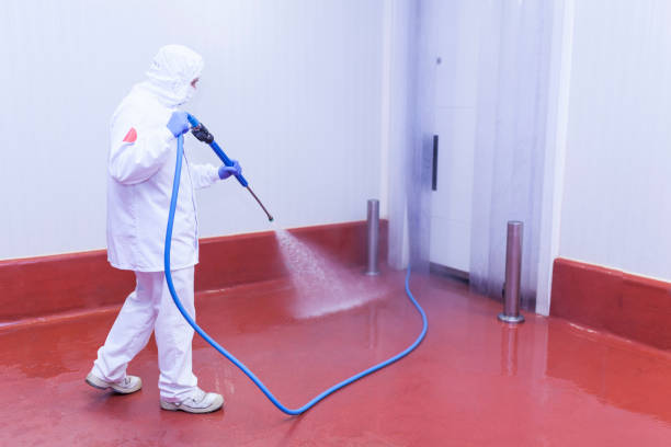 Best Sidewalk and Walkway Cleaning  in Santee, SC