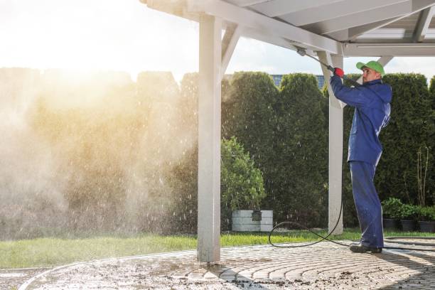 Best Driveway Pressure Washing  in Santee, SC